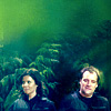 Stargate Atlantis