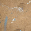 Ex-Posed Material Photo